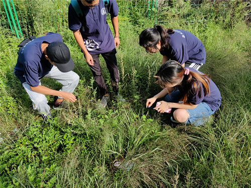 草业学院草业小分队前往秦岭进行生态科学考察