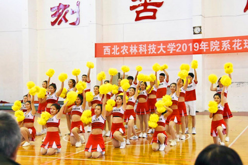 c59210ab5175451eacdec2397349b238.jpg