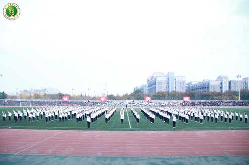 林院学子整齐划一500.jpg