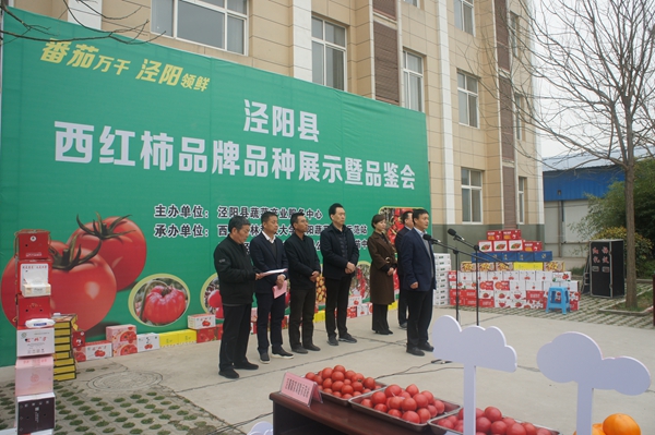 DSC09699_副本.jpg