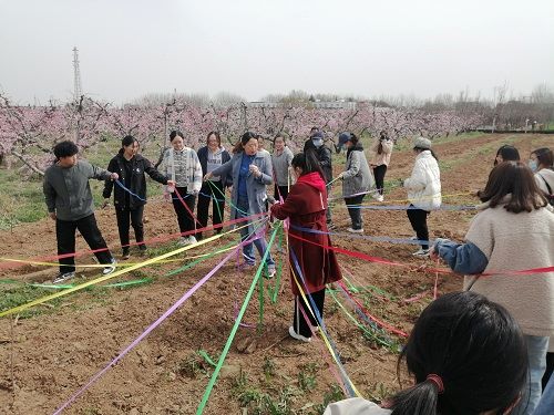 同学们两两组队.jpg