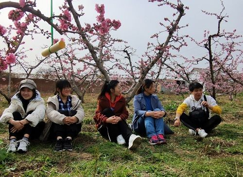 同学们分享自己花的特点.jpg