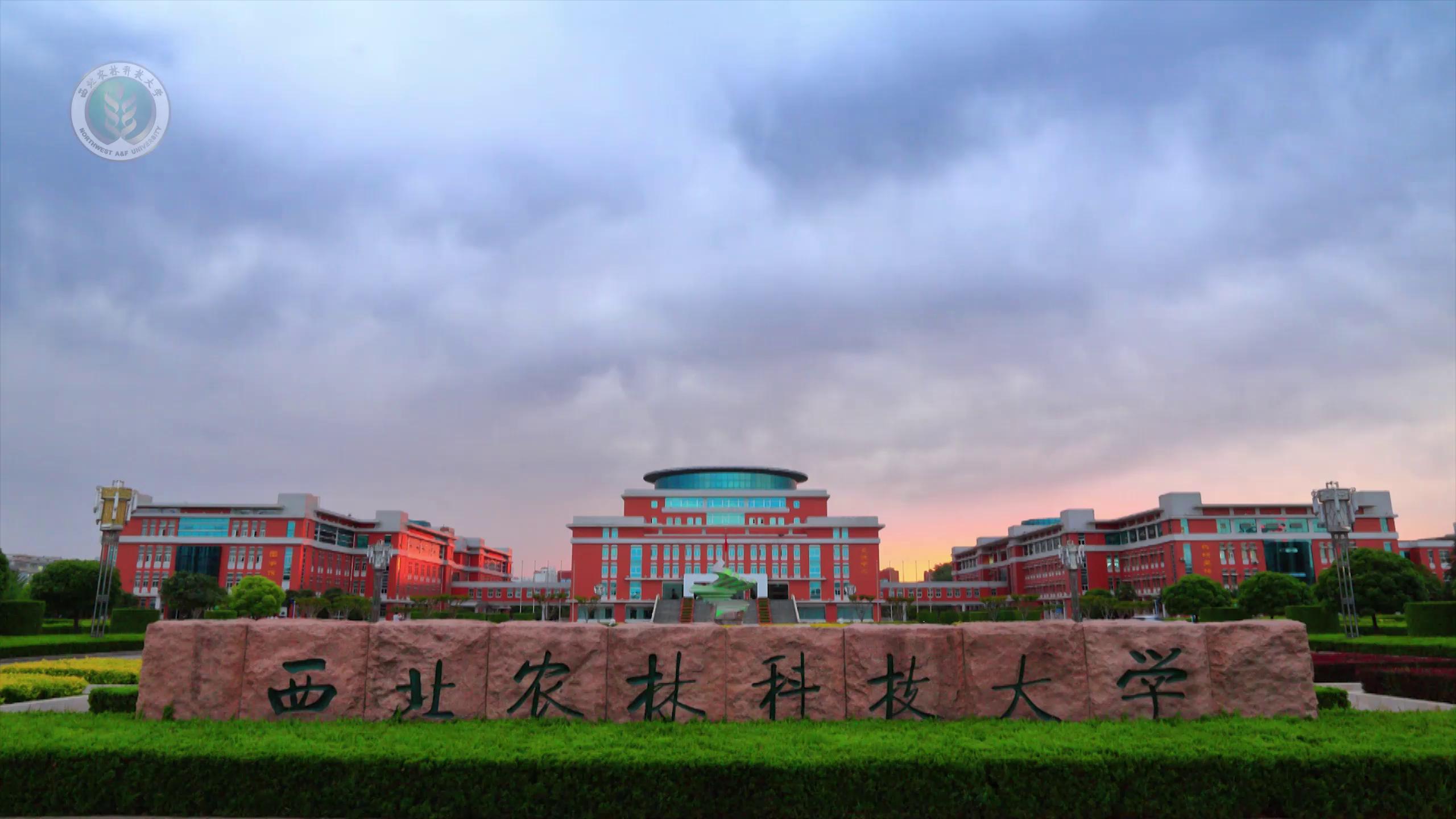 百名团支部书记共唱《明天会更好》 - 共青团西北农林科技大学委员会